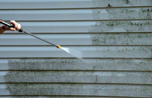 Best Dumpster Area Cleaning  in Yalaha, FL